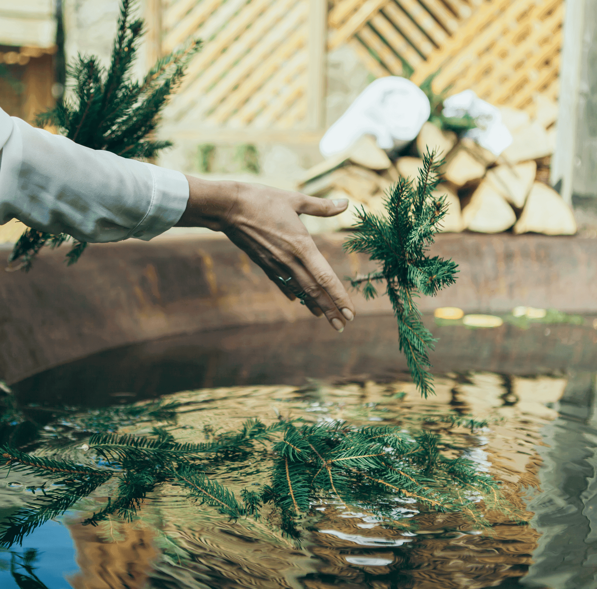 Туристичні активності в Поляні