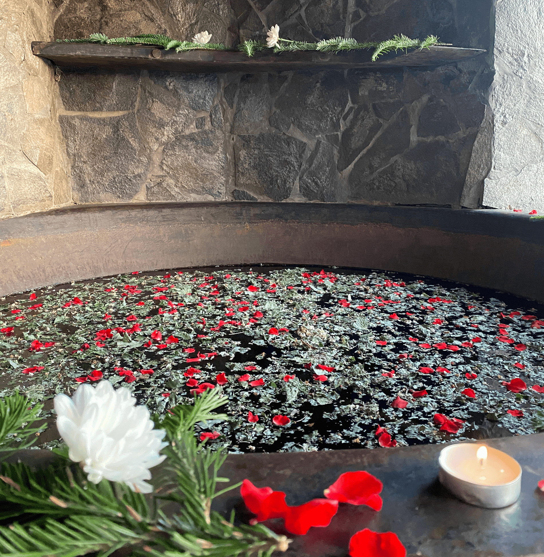 Карпатські чани